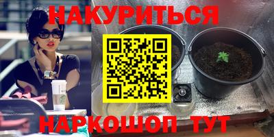 ПСИЛОЦИБИНОВЫЕ ГРИБЫ Берёзовский