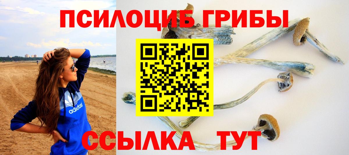 Псилоцибиновые грибы Cubensis  Вход с VPN  Знаменск  Псилоцибиновые грибы Magic Shrooms 